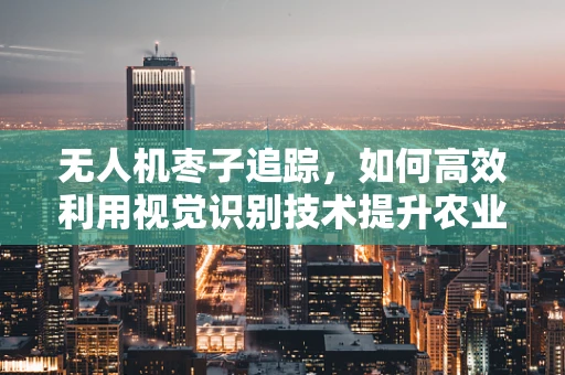 无人机枣子追踪，如何高效利用视觉识别技术提升农业监测精度？