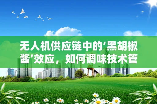 无人机供应链中的‘黑胡椒酱’效应，如何调味技术管理的‘味蕾？