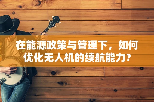 在能源政策与管理下，如何优化无人机的续航能力？