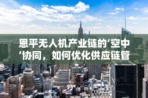 恩平无人机产业链的‘空中’协同，如何优化供应链管理？