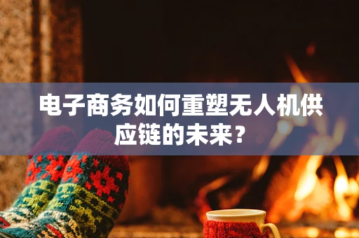 电子商务如何重塑无人机供应链的未来？