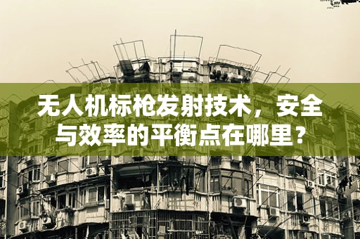 无人机标枪发射技术，安全与效率的平衡点在哪里？