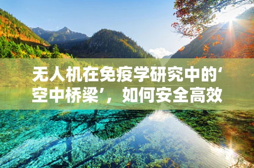 无人机在免疫学研究中的‘空中桥梁’，如何安全高效地运输免疫细胞？