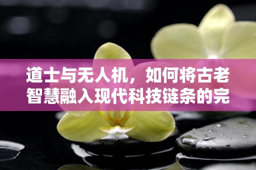 道士与无人机，如何将古老智慧融入现代科技链条的完美融合？