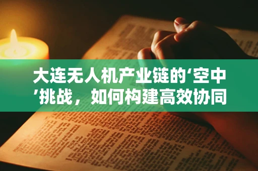 大连无人机产业链的‘空中’挑战，如何构建高效协同的供应链网络？