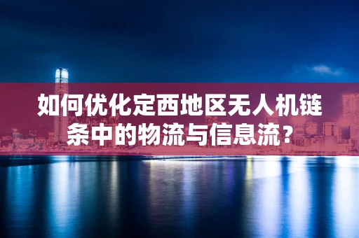 如何优化定西地区无人机链条中的物流与信息流？
