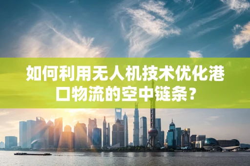 如何利用无人机技术优化港口物流的空中链条？