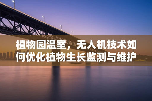 植物园温室，无人机技术如何优化植物生长监测与维护？