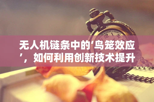 无人机链条中的‘鸟笼效应’，如何利用创新技术提升飞行稳定性？