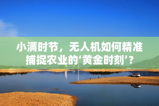 小满时节，无人机如何精准捕捉农业的‘黄金时刻’？