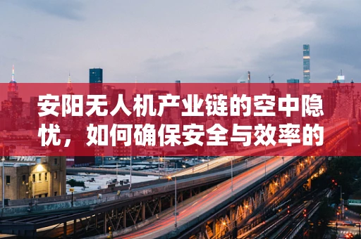 安阳无人机产业链的空中隐忧，如何确保安全与效率的双重提升？