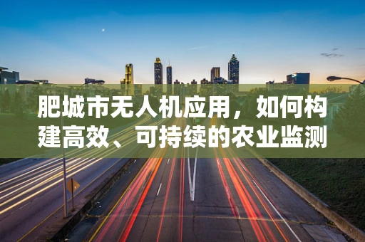 肥城市无人机应用，如何构建高效、可持续的农业监测链条？