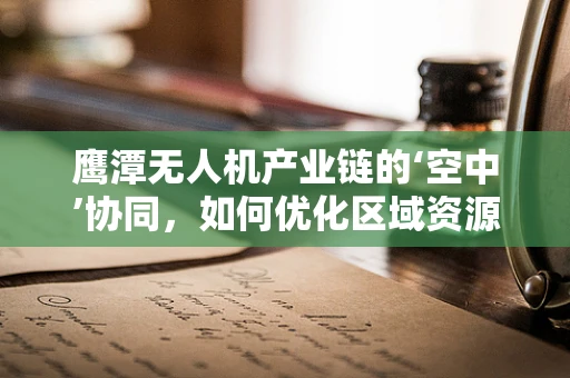 鹰潭无人机产业链的‘空中’协同，如何优化区域资源配置？