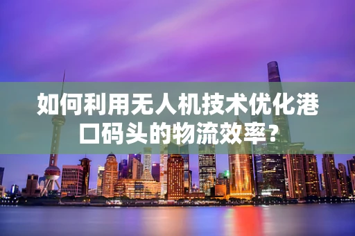 如何利用无人机技术优化港口码头的物流效率？