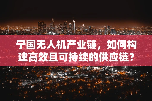宁国无人机产业链，如何构建高效且可持续的供应链？