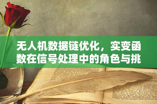 无人机数据链优化，实变函数在信号处理中的角色与挑战？