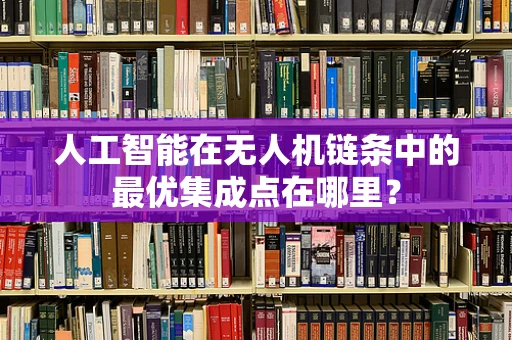 人工智能在无人机链条中的最优集成点在哪里？