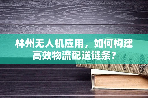 林州无人机应用，如何构建高效物流配送链条？