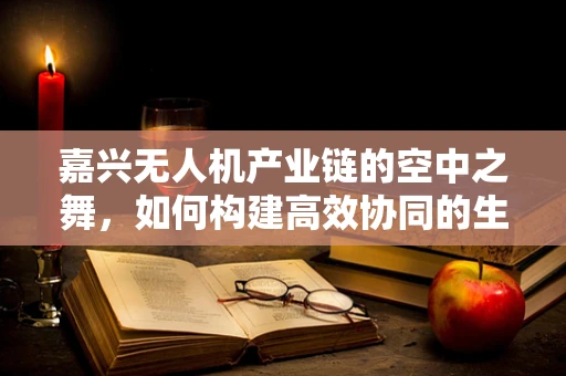 嘉兴无人机产业链的空中之舞，如何构建高效协同的生态圈？
