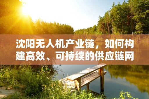 沈阳无人机产业链，如何构建高效、可持续的供应链网络？