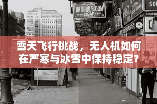 雪天飞行挑战，无人机如何在严寒与冰雪中保持稳定？