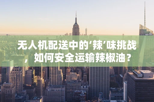 无人机配送中的‘辣’味挑战，如何安全运输辣椒油？