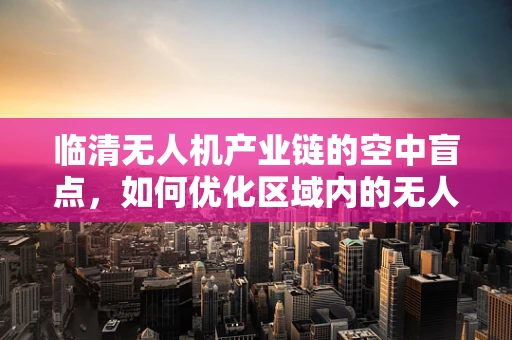 临清无人机产业链的空中盲点，如何优化区域内的无人机服务与维护网络？