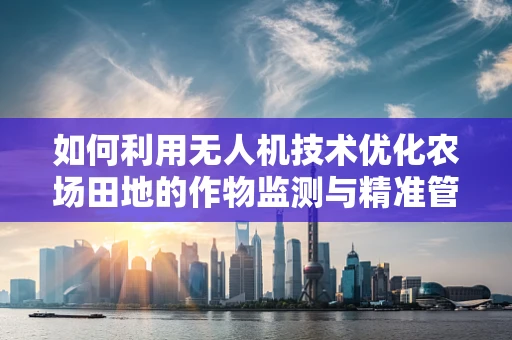 如何利用无人机技术优化农场田地的作物监测与精准管理？