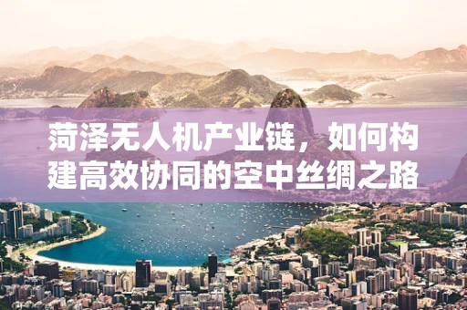 菏泽无人机产业链，如何构建高效协同的空中丝绸之路？