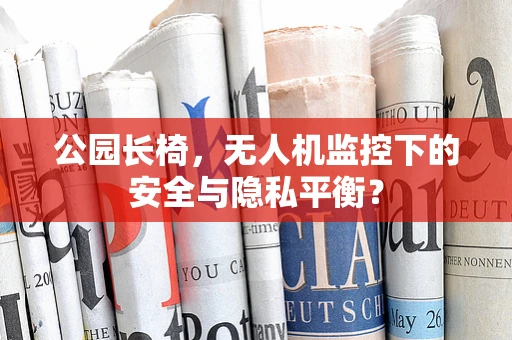 公园长椅，无人机监控下的安全与隐私平衡？