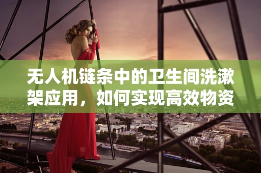 无人机链条中的卫生间洗漱架应用，如何实现高效物资补给？