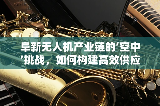 阜新无人机产业链的‘空中’挑战，如何构建高效供应链？