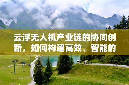 云浮无人机产业链的协同创新，如何构建高效、智能的空中物流网络？