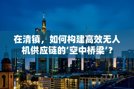 在清镇，如何构建高效无人机供应链的‘空中桥梁’？