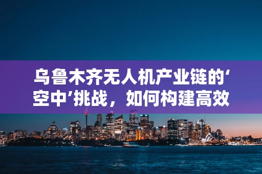 乌鲁木齐无人机产业链的‘空中’挑战，如何构建高效、安全的物流与监控网络？