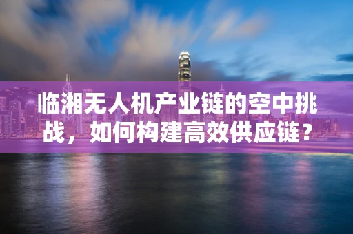 临湘无人机产业链的空中挑战，如何构建高效供应链？