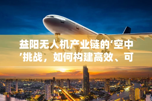益阳无人机产业链的‘空中’挑战，如何构建高效、可持续的无人机生态系统？