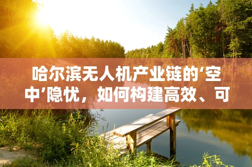 哈尔滨无人机产业链的‘空中’隐忧，如何构建高效、可持续的供应链？