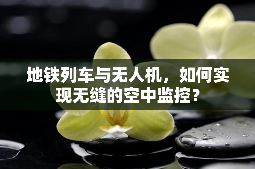 地铁列车与无人机，如何实现无缝的空中监控？