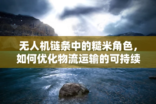 无人机链条中的糙米角色，如何优化物流运输的可持续性？