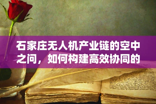石家庄无人机产业链的空中之问，如何构建高效协同的无人机生态系统？