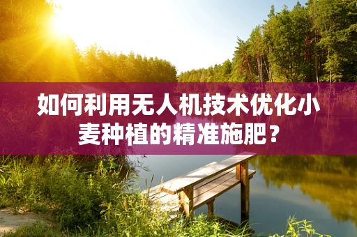 如何利用无人机技术优化小麦种植的精准施肥？