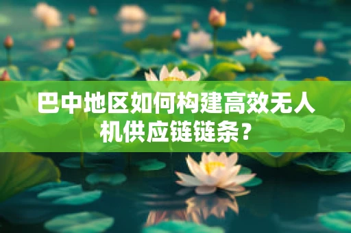 巴中地区如何构建高效无人机供应链链条？