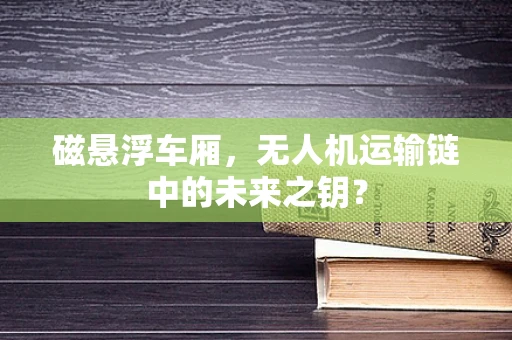 磁悬浮车厢，无人机运输链中的未来之钥？