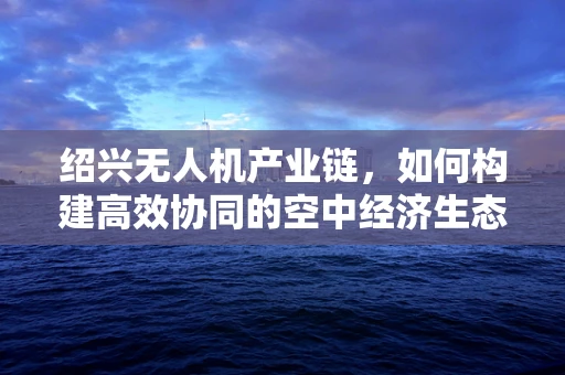 绍兴无人机产业链，如何构建高效协同的空中经济生态？