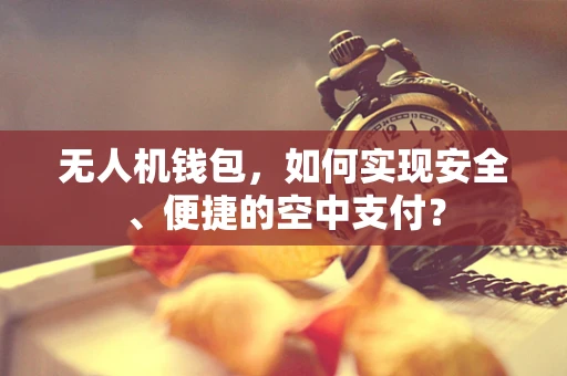 无人机钱包，如何实现安全、便捷的空中支付？