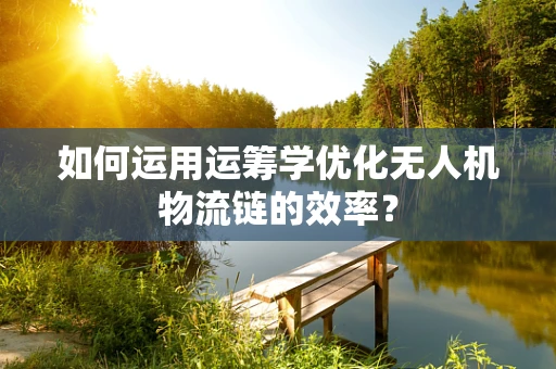 如何运用运筹学优化无人机物流链的效率？