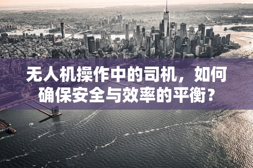 无人机操作中的司机，如何确保安全与效率的平衡？