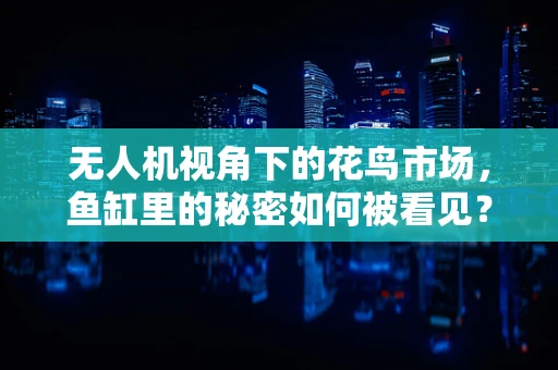 无人机视角下的花鸟市场，鱼缸里的秘密如何被看见？