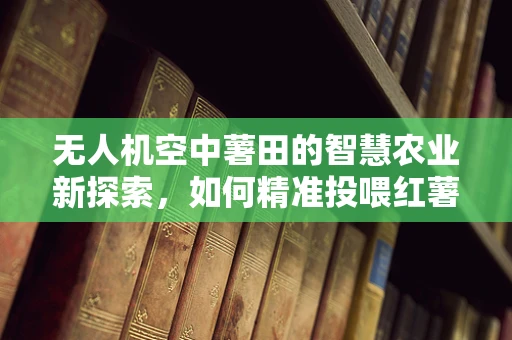 无人机空中薯田的智慧农业新探索，如何精准投喂红薯？